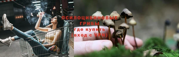 спиды Алзамай