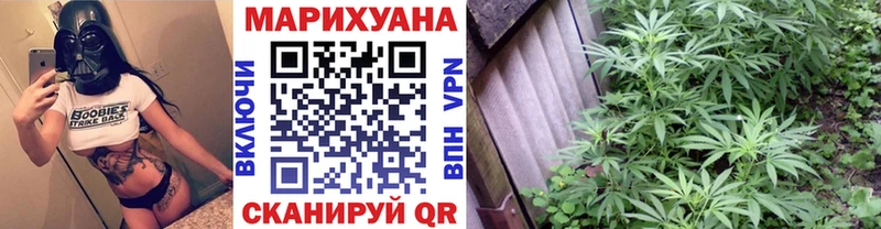 Шишки марихуана семена  Оса 